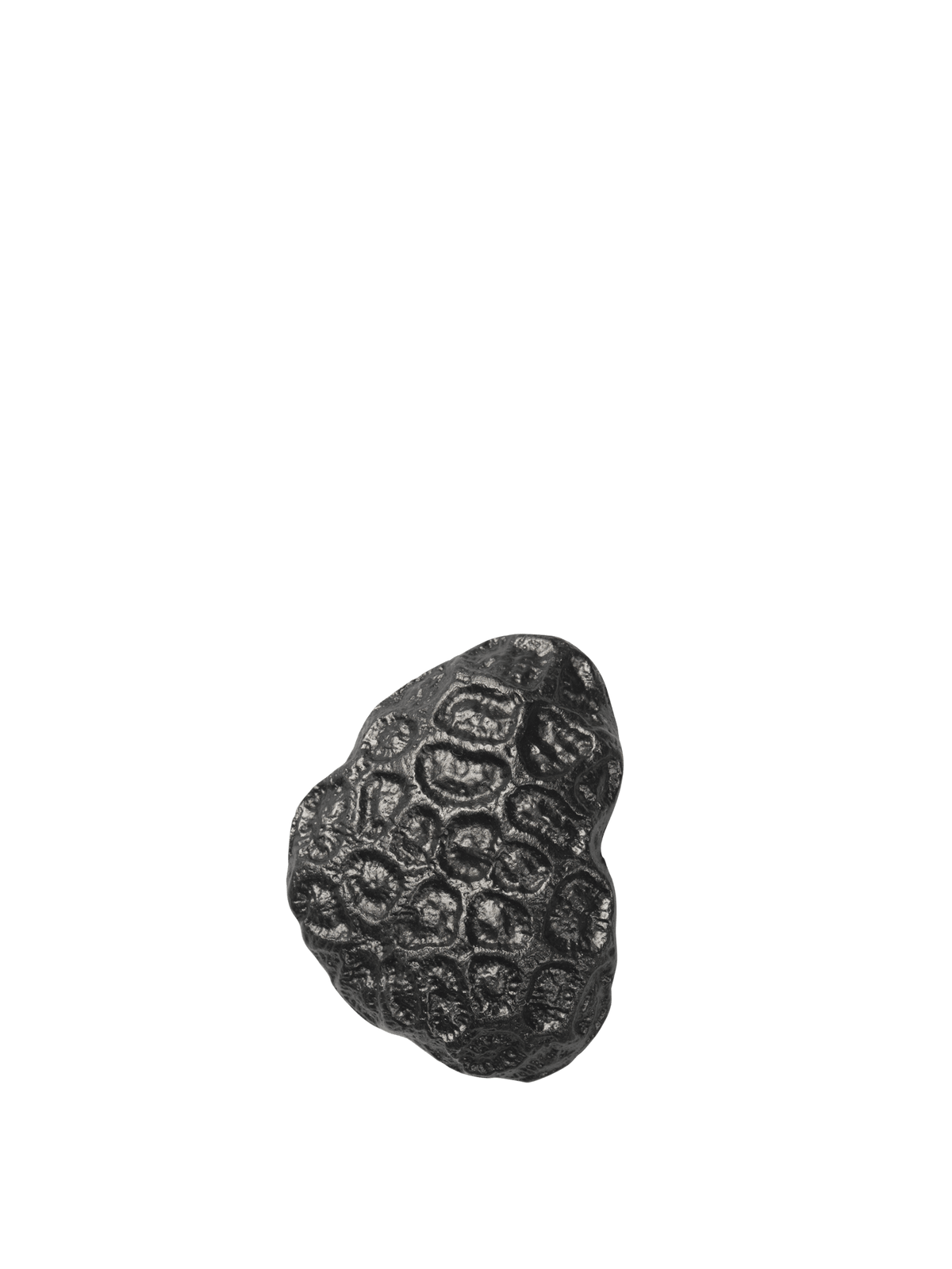 Colgador coral Comber de Ferm Living