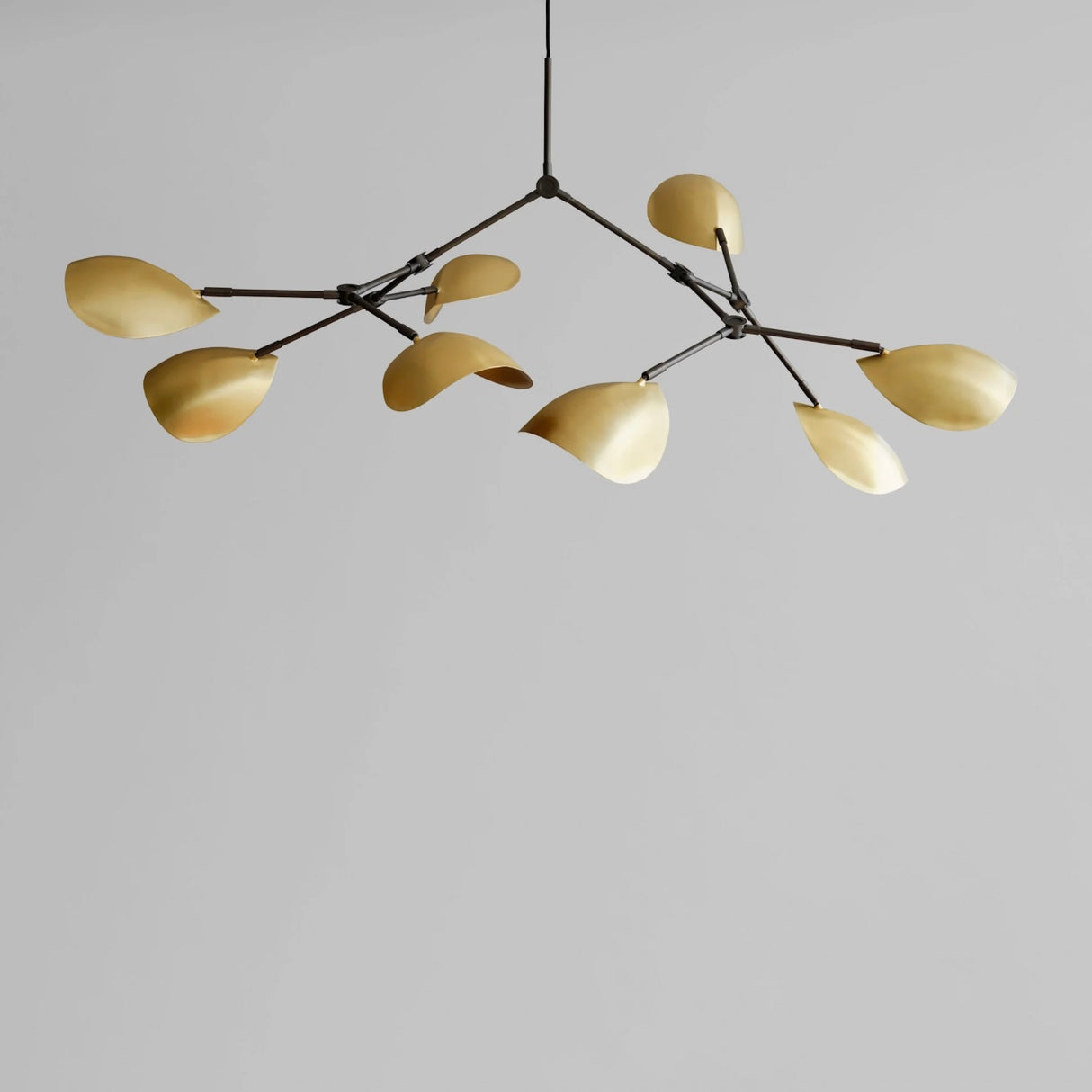 Stingray Chandelier - Brass (5m)