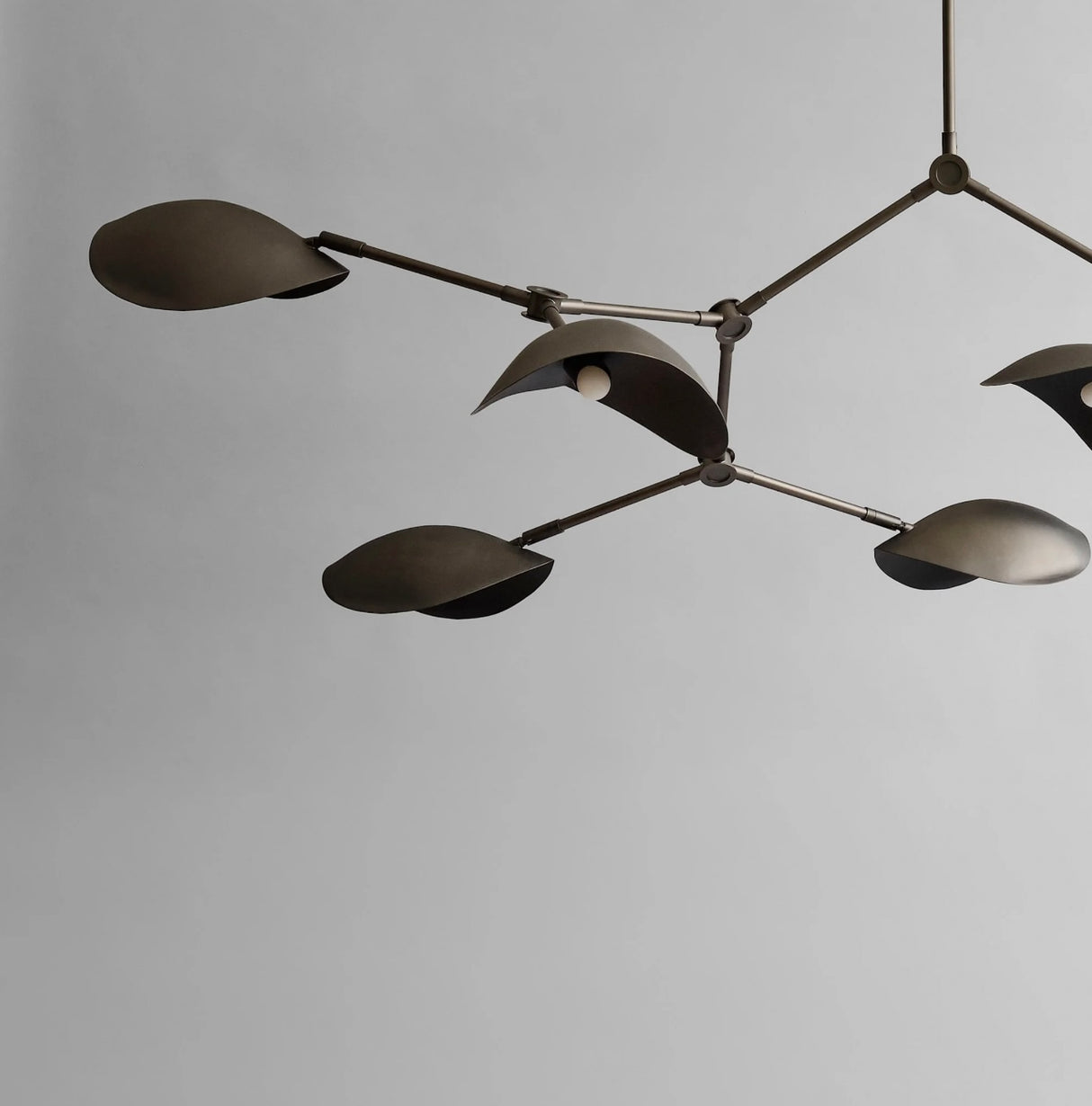 Stingray Chandelier - Bronze (5m)