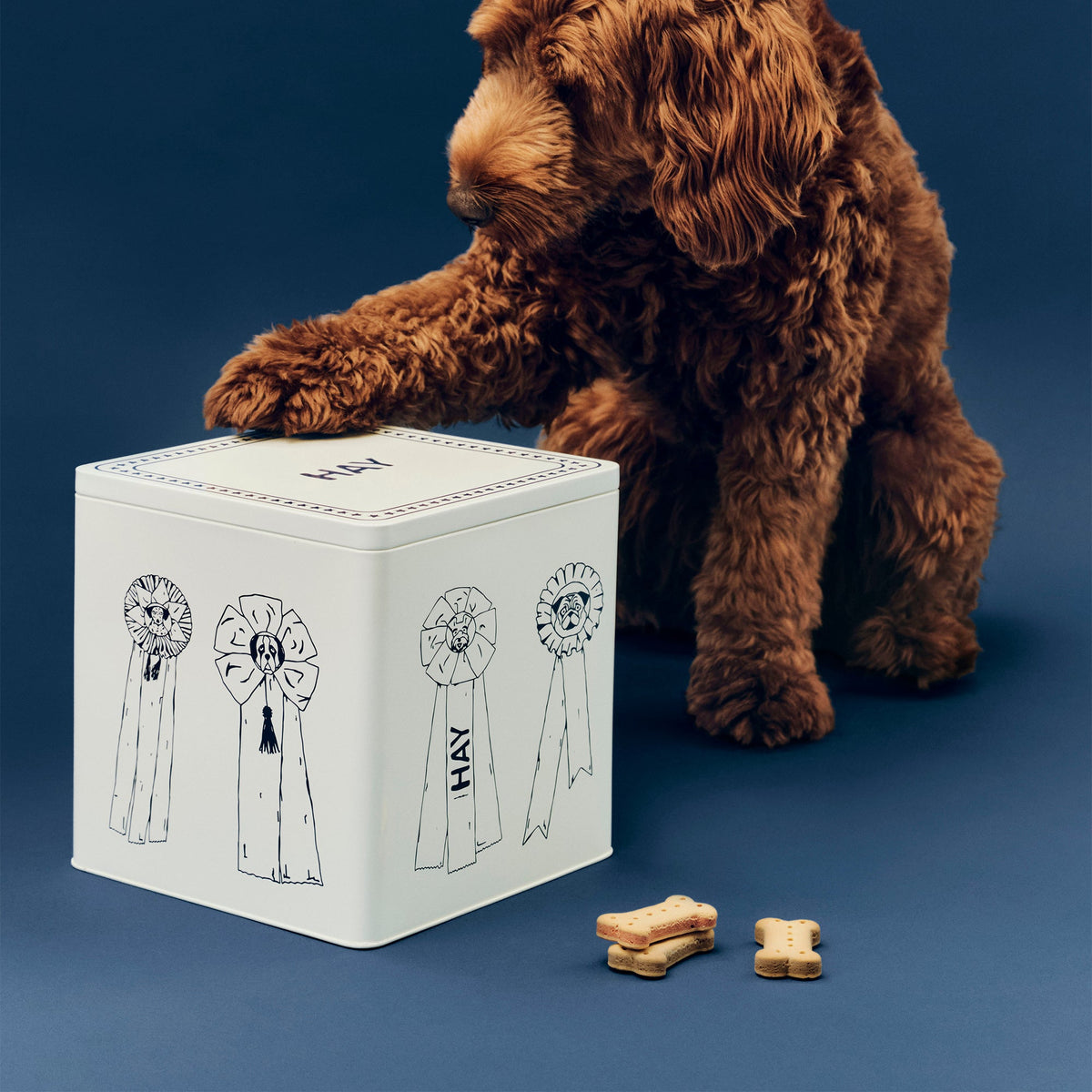 Contenedor de comida para perro Dogs · HAY · ambiente