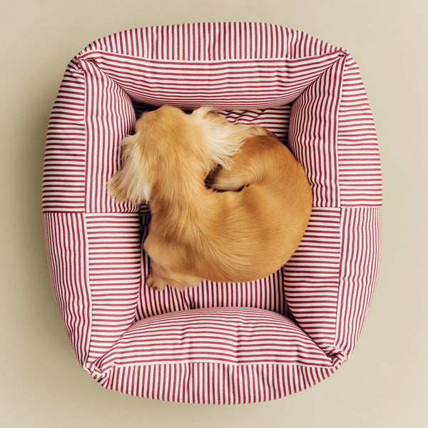 Cama para perro Dogs · HAY · ambiente