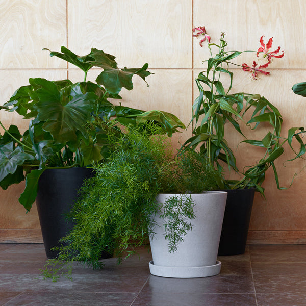 Maceta con plato Flowerpot · HAY · ambiente