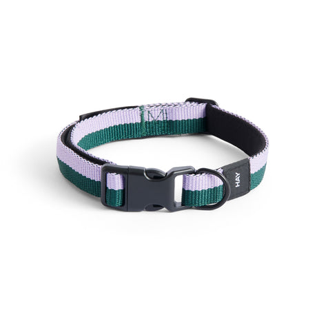 Collar para perro Dogs · HAY · Lavender/Green / S/M