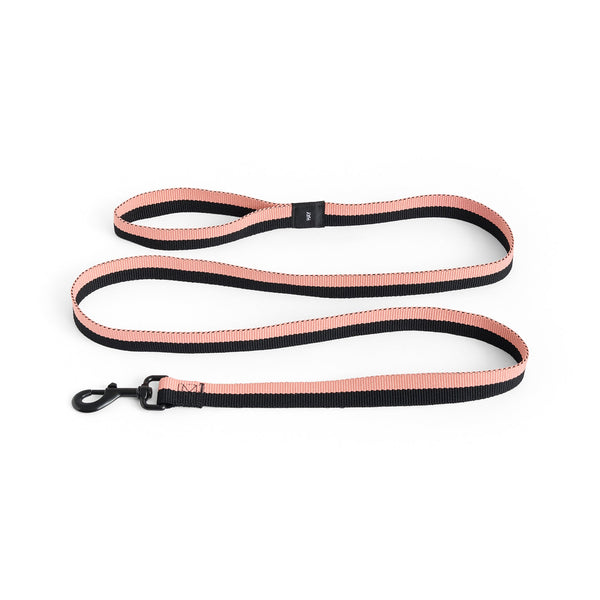 Correa para perro Dogs · HAY · Pink / Black / M/L / Flat
