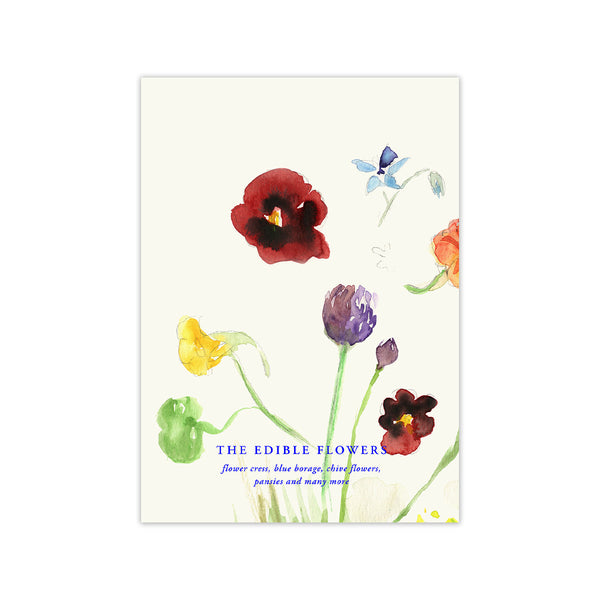 Lámina The Edible Flowers de Paper Collective