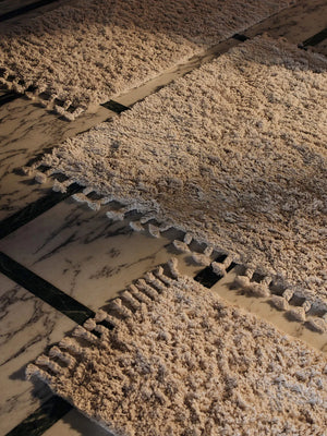 Amass Long Pile Rug