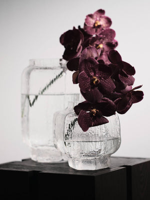 Vaso Mokuri · Ferm Living Clear · H25