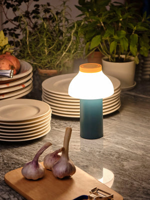 PC Portable Lamp