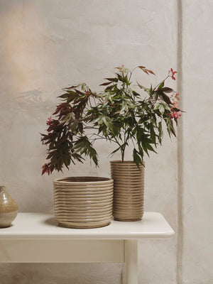 Jarrón Corduroy de Ferm Living