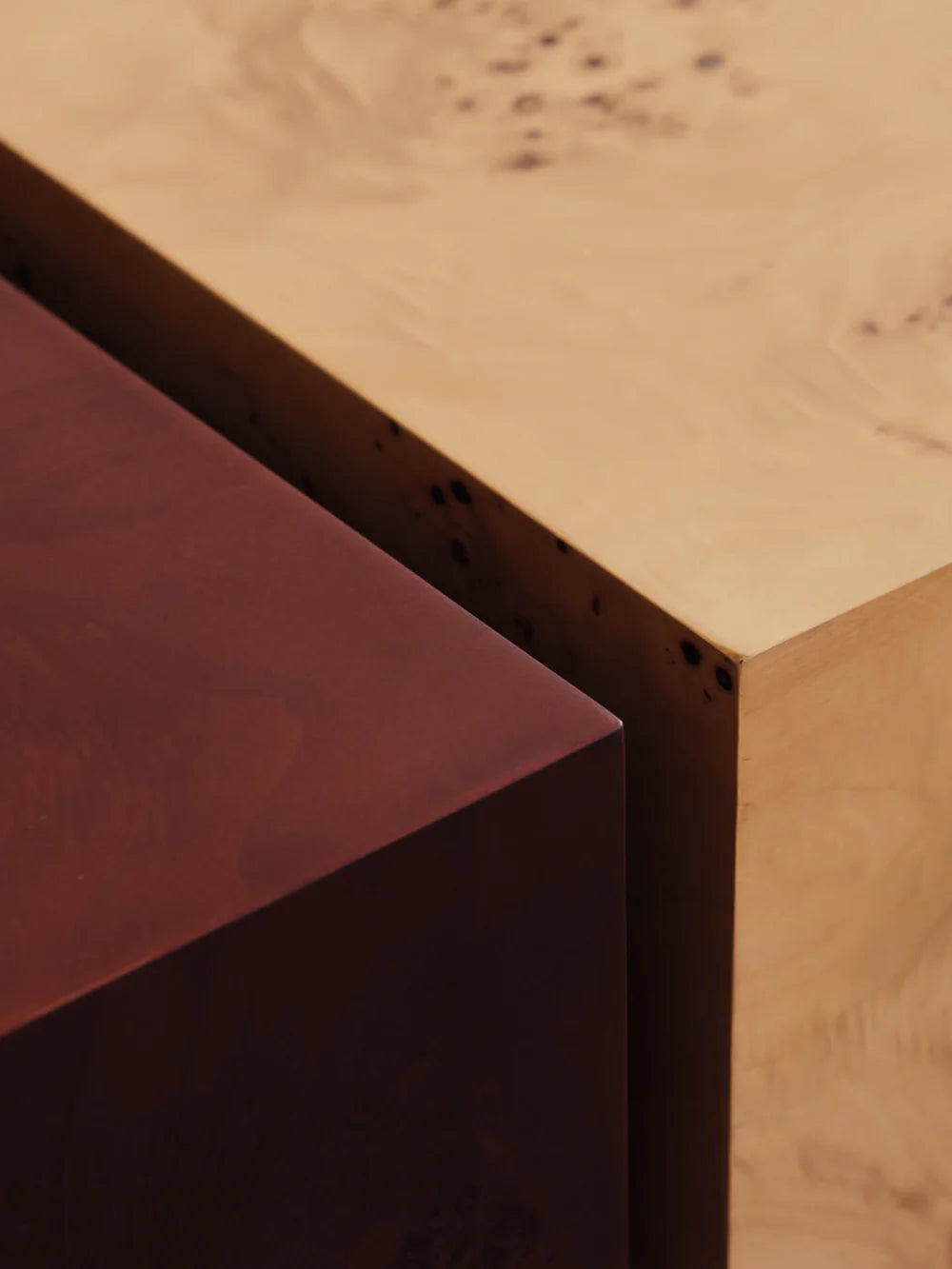 Burl Storage Coffee Table