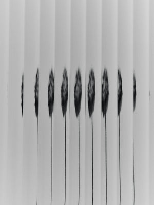 Armario de pared Haze de Ferm Living