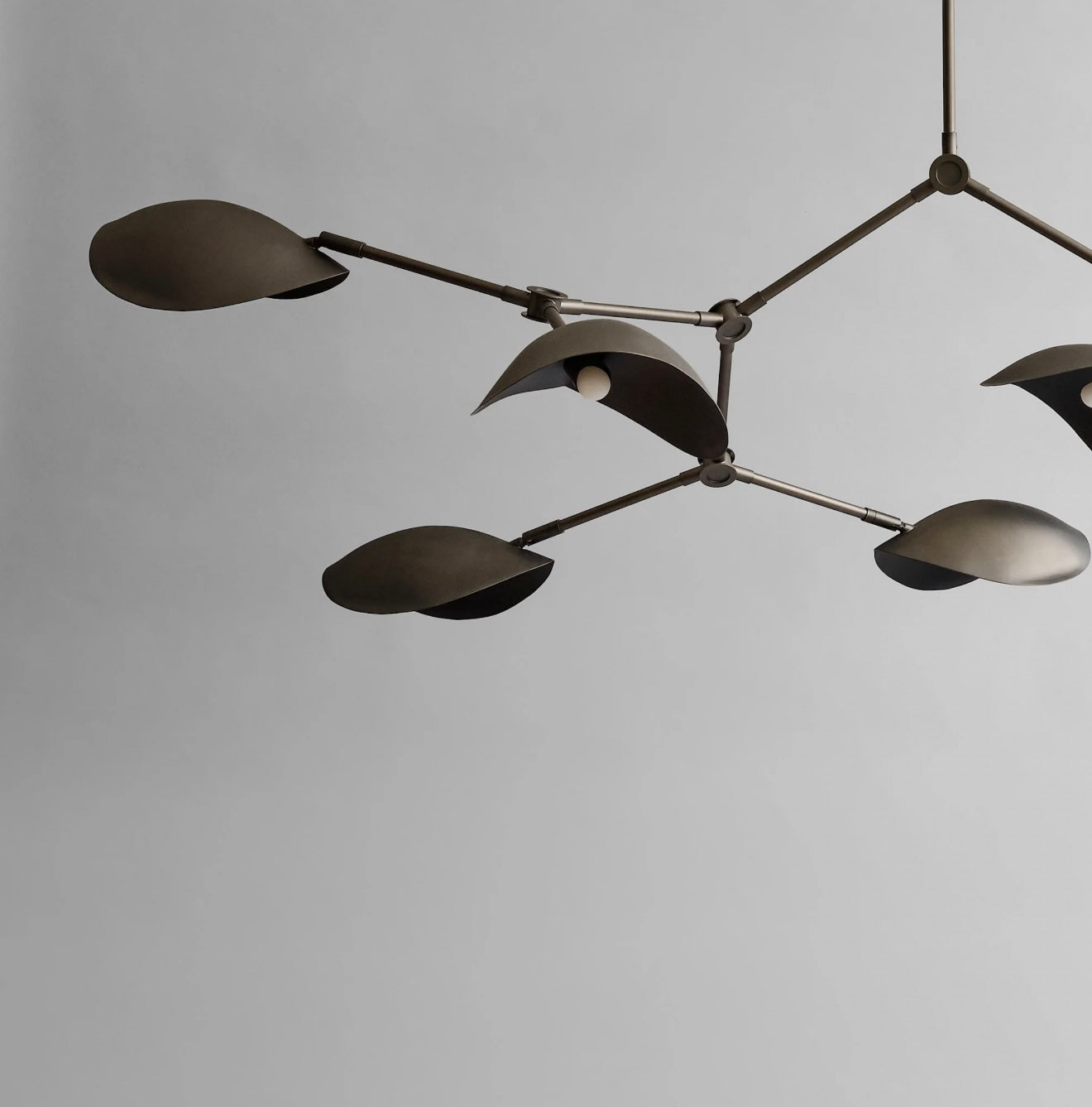 Stingray Chandelier - Bronze (5m)