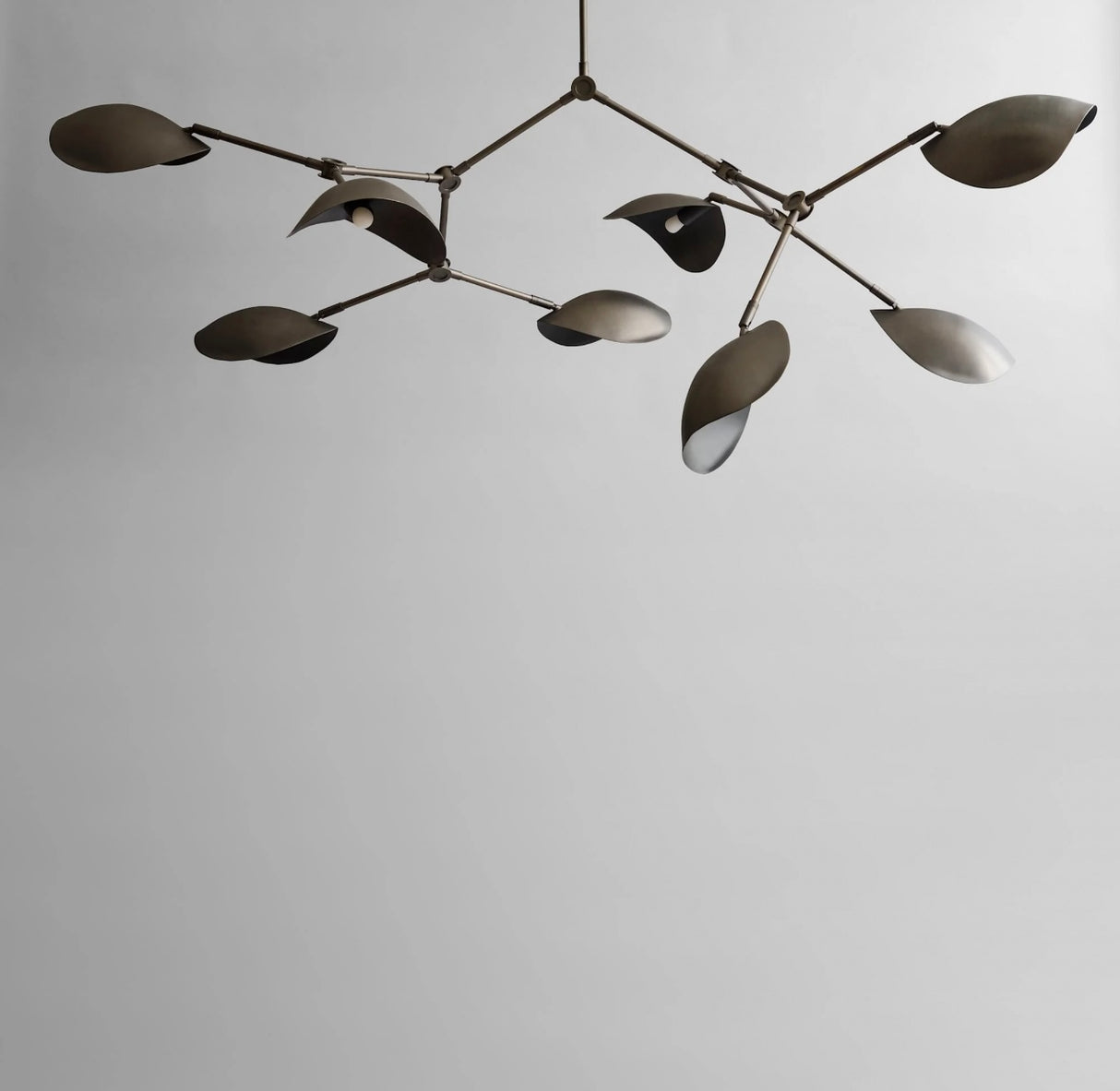 Stingray Chandelier - Bronze (5m)