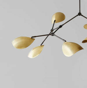 Stingray Chandelier - Brass (5m)