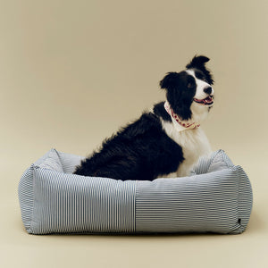 Cama para perro Dogs · HAY · ambiente