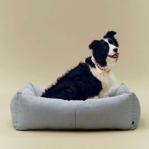 Cama para perro Dogs · HAY · ambiente