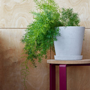 Maceta con plato Flowerpot · HAY · ambiente