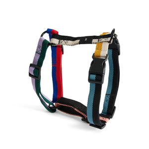 Arnés para perro Dogs · HAY · Multicolour
