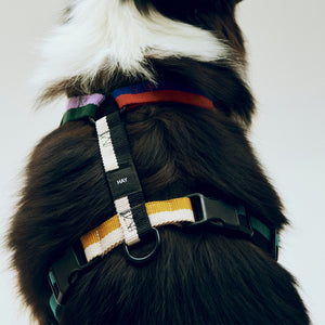 Arnés para perro Dogs · HAY · ambiente