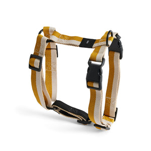 Arnés para perro Dogs · HAY · Off-White/Ochre