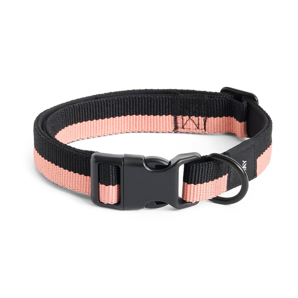 Collar para perro Dogs · HAY · Pink/Black / M/L