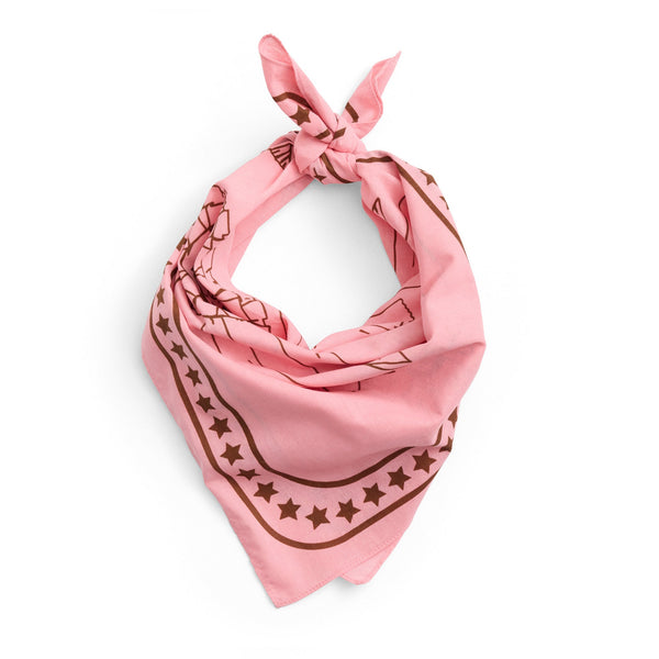 Pañuelo para perro Dogs · HAY · Pink