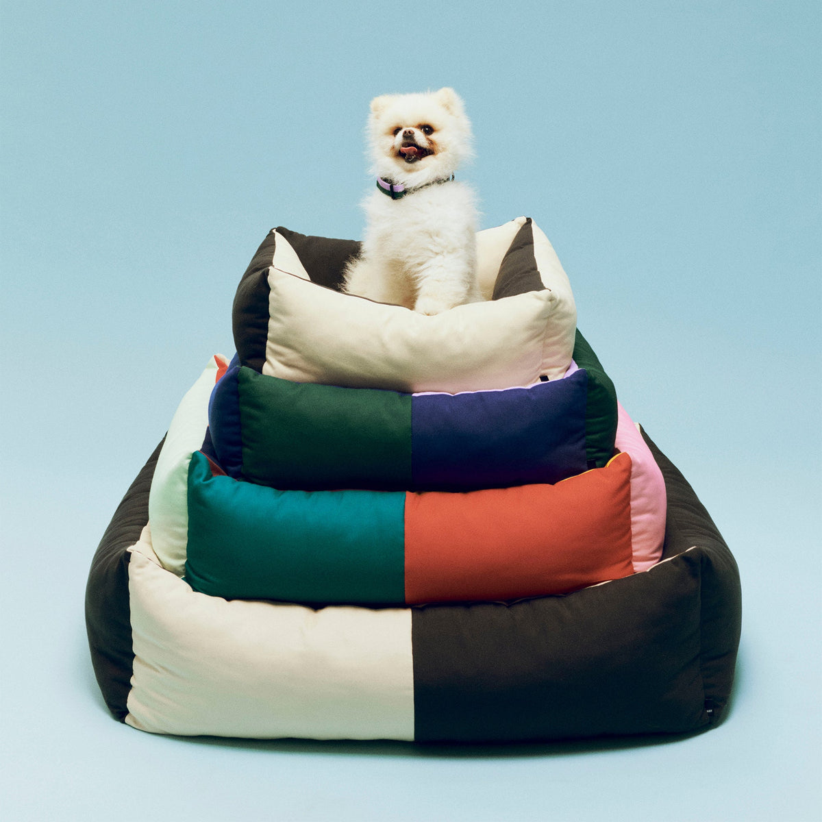 Cama para perro Dogs · HAY · ambiente