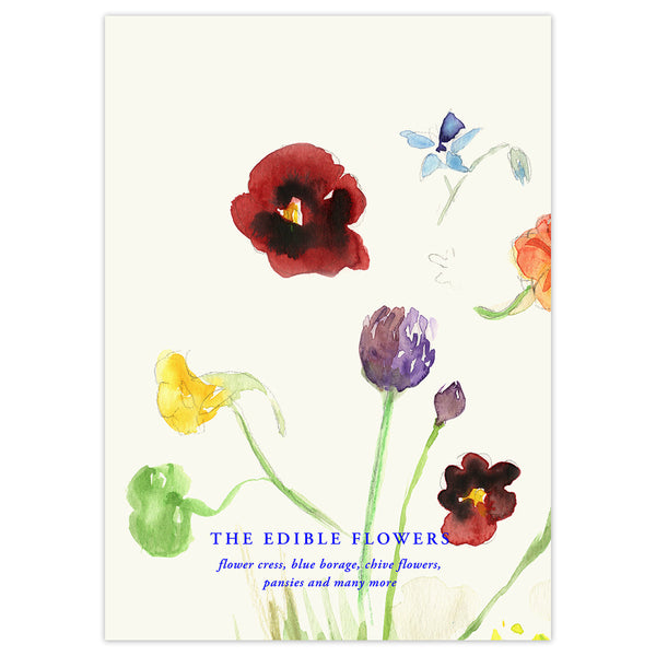Lámina The Edible Flowers de Paper Collective