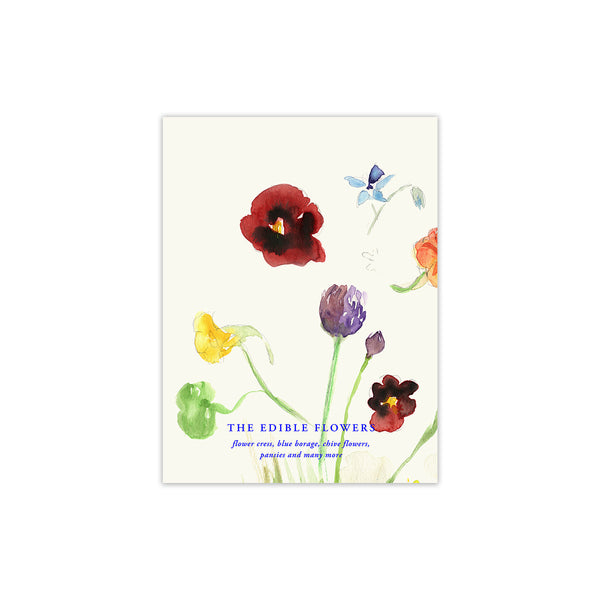 Lámina The Edible Flowers de Paper Collective