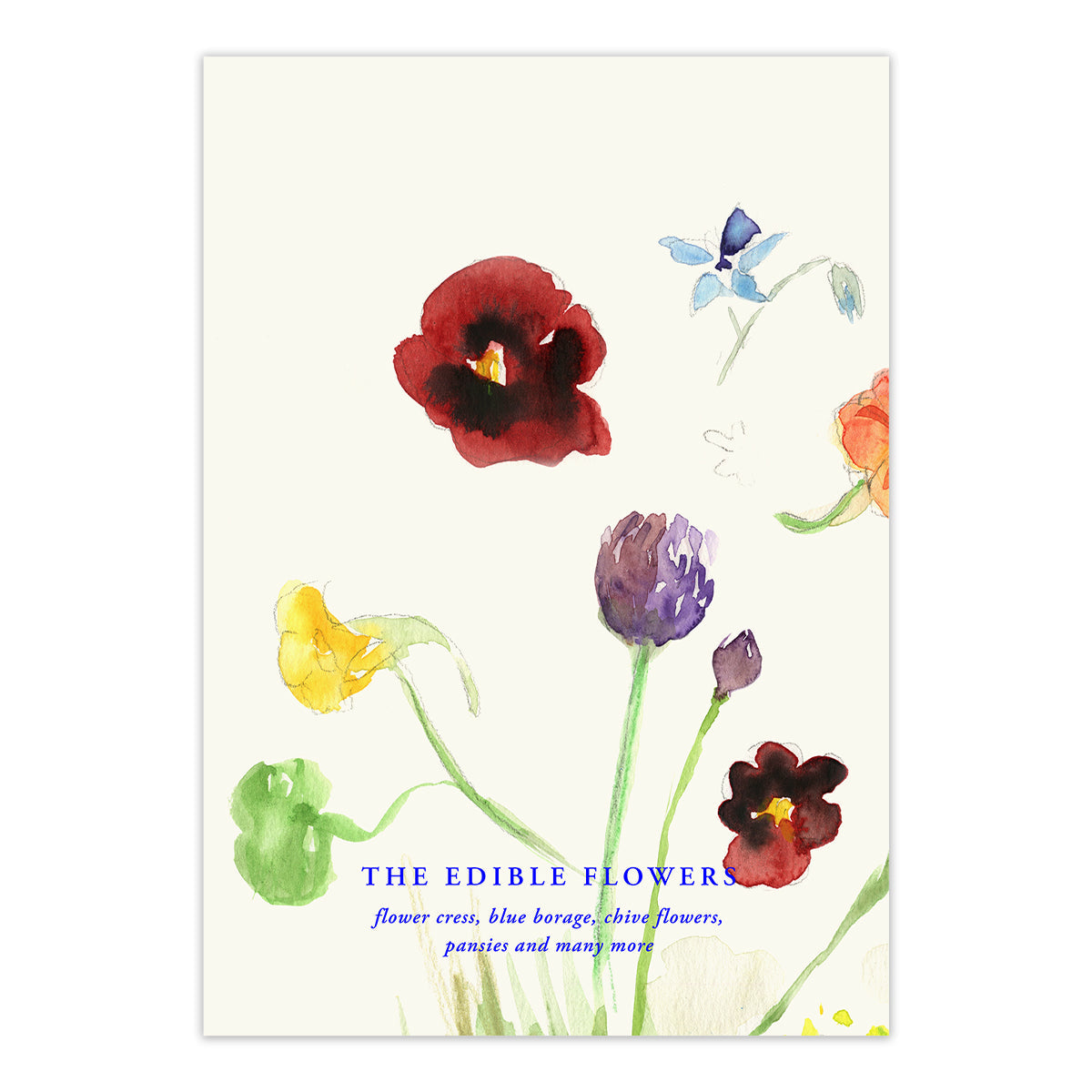 Lámina The Edible Flowers de Paper Collective