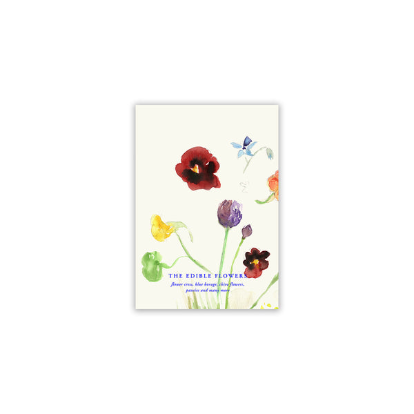 Lámina The Edible Flowers de Paper Collective